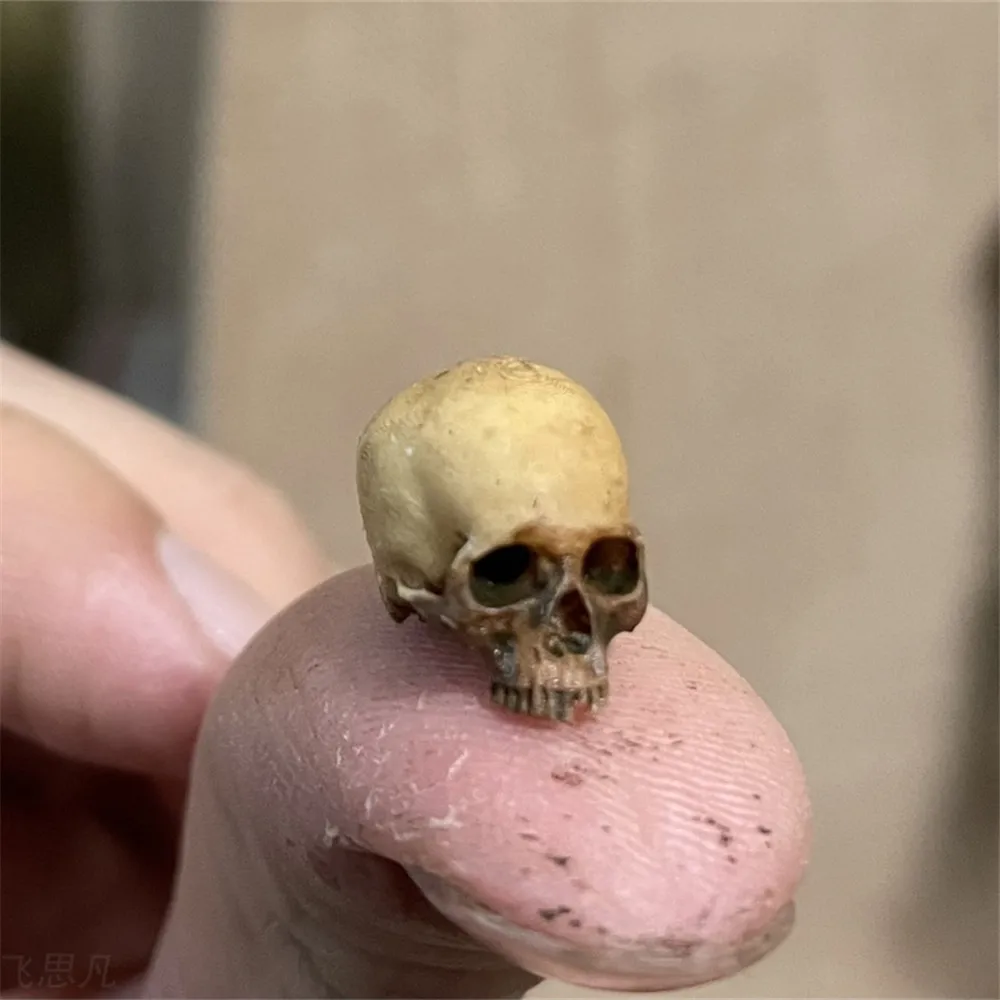 Marine Aquarium Mini - Mini Skull High Quality Miniature Model