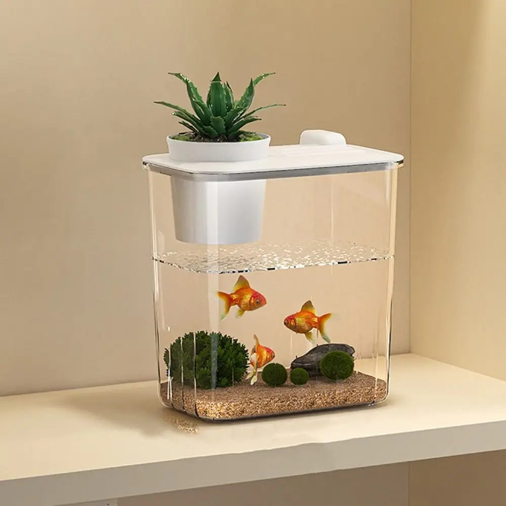 Aquarium Desktop Fish Tank Wat - Marine Aquarium With Sump recension och pris