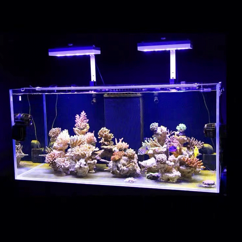 Aqua Illumination AI Hydra 32H - Marine Aquarium Led Lights recension och pris