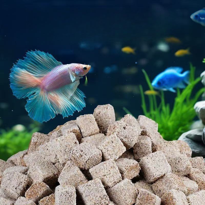 Natural Freeze Dried Bloodworm - Marine Aquarium Worms recension och pris